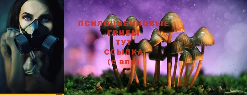 купить наркоту  ОМГ ОМГ ссылка  Псилоцибиновые грибы MAGIC MUSHROOMS  Нягань 